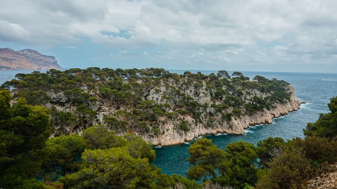 Cassis